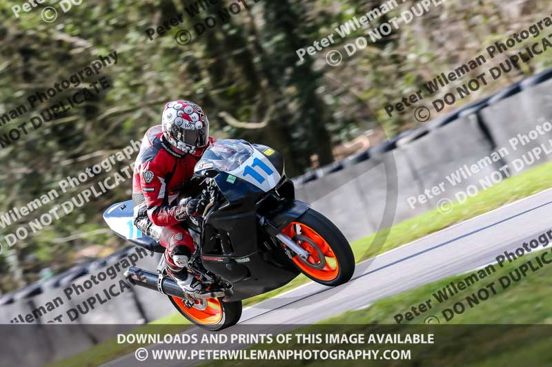 Oulton Park 20th March 2020;PJ Motorsport Photography 2020;anglesey;brands hatch;cadwell park;croft;donington park;enduro digital images;event digital images;eventdigitalimages;mallory;no limits;oulton park;peter wileman photography;racing digital images;silverstone;snetterton;trackday digital images;trackday photos;vmcc banbury run;welsh 2 day enduro